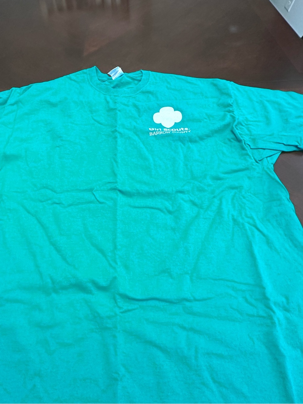 Vintage Girl Scouts Barrow County Keep Calm I’m a Girl Scout Graphic T-Shirt